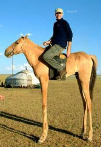 high-horse.jpg