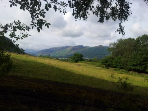 IMG_20130731_091347.jpg