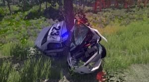 policecrash2.png