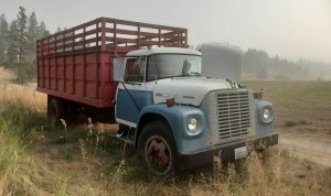 00i0i_4eFB8ZWHgcR_0CI0t2_1200x900.jpg