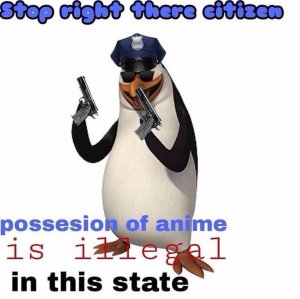 cf5.jpg