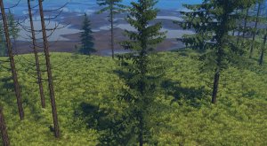 douglas_small.jpg