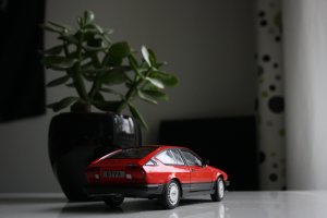 IMG_3223.jpg