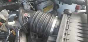 20201125_084906.jpg