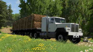 iyb_eastcoast_delivery_6.png
