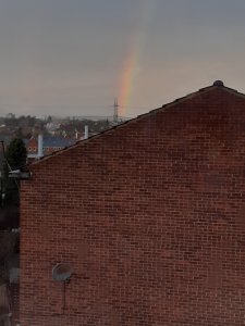 20191219_1516071.jpg
