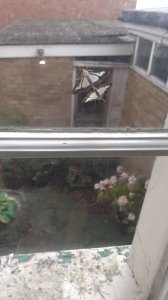 20200904_0748561.jpg