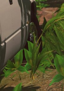 newwheels2.jpg