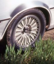 20201213_172936.jpg