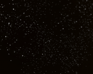 screenshot_2021-01-17_12-04-29.png