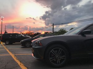 IMG_8154.jpg