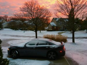 IMG_8795.jpg