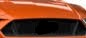 download25_LI.jpg