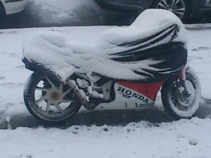 DSC_0689.jpg