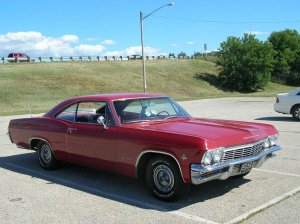 impala.jpg