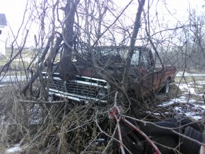 IMG_20210224_111653.jpg