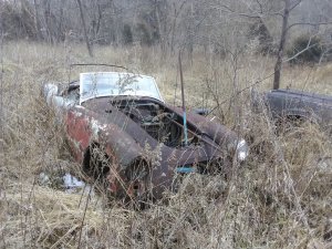 IMG_20210224_112719.jpg