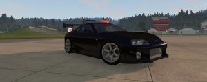 Racesecuritycar.jpg
