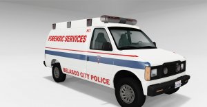 type2ambu_BCPDforensic_kemro.jpg