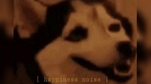 happynoises.jpg