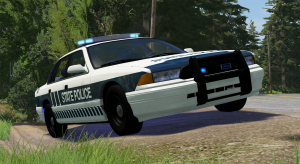 screenshot_2021-03-18_19-49-58.png