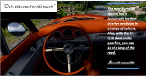 BURNSIDE AD.png