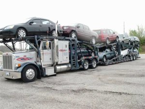 379carcarrier.jpg