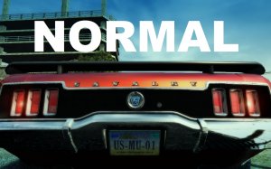normal.jpg