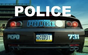 police.jpg