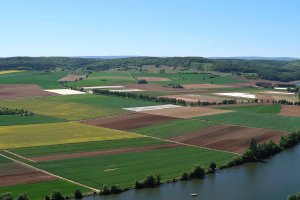 csm_Landwirtschaft_Anbauflaeche_Bio_3644d3fb62.jpg