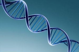 dna.jpg