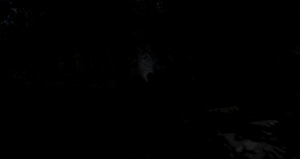 screenshot_2021-04-17_11-04-32.png