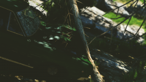 screenshot_2021-04-17_16-11-07.png
