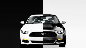 mustangs.png