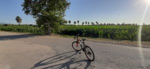 20200726_183914.jpg