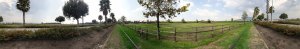 20200913_155536.jpg