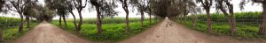 20200916_160549.jpg