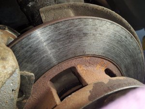 10273_User_524.jpg