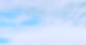 montage1.png