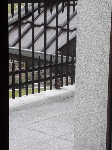 20210503_121417.jpg