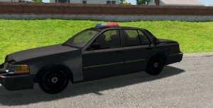 Policea.jpg