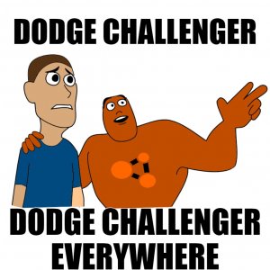 EVERYWHERE.jpeg