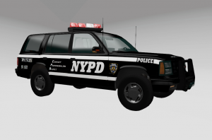 NYPDTF.png