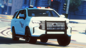 BeamNGdrivex642021-06-2220-40-52.png