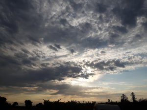 20210622_184751.jpg