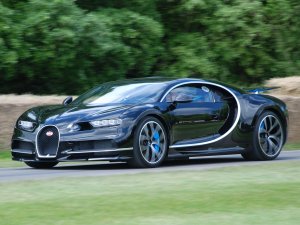 FoS20162016_0624_132444AA_27785299372.jpg