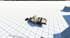 survive4.jpg