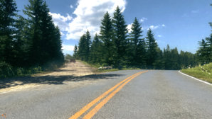 eastcoastfork.jpg