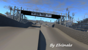 bone_track_p.png