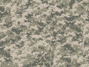 digital-camouflage_00390497.jpg